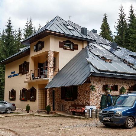 Pension Cabana Cetatile Ponorului Padis Exterior photo
