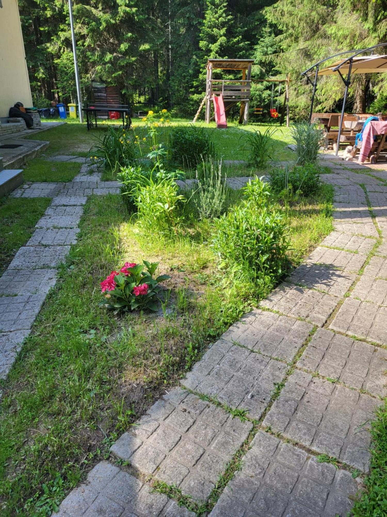 Pension Cabana Cetatile Ponorului Padis Exterior photo