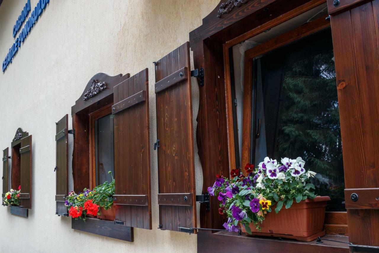 Pension Cabana Cetatile Ponorului Padis Exterior photo
